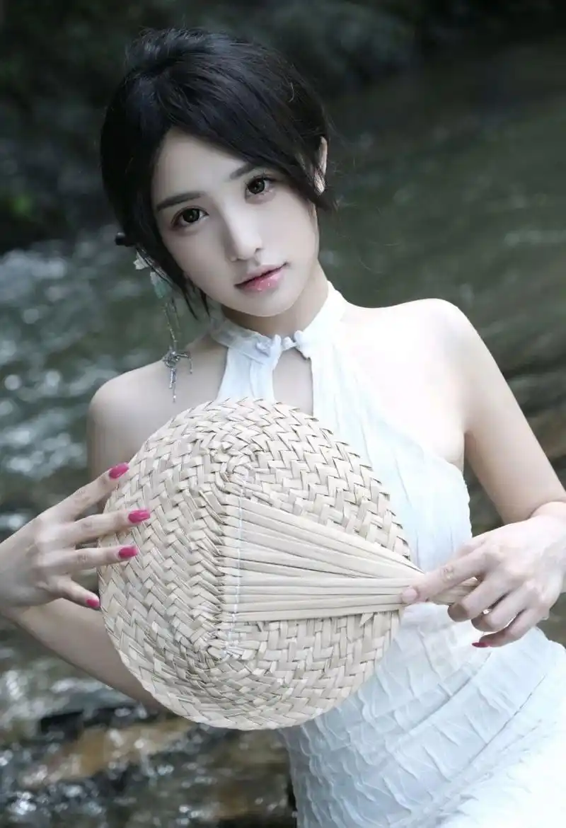 热播剧长风渡月录封面